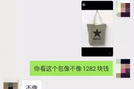 双鸭山专业讨债公司，追讨消失的老赖